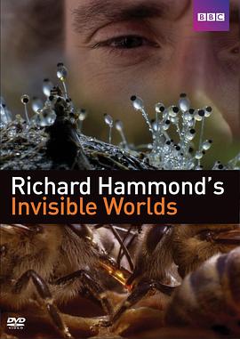 Richard Hammond's Invisible Worlds