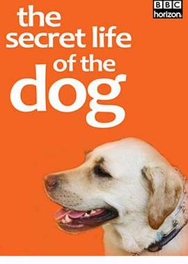 Horizon: The Secret Life of the Dog