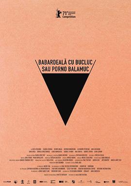 Babardeală cu bucluc sau porno balamuc