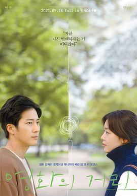 영화의 거리
